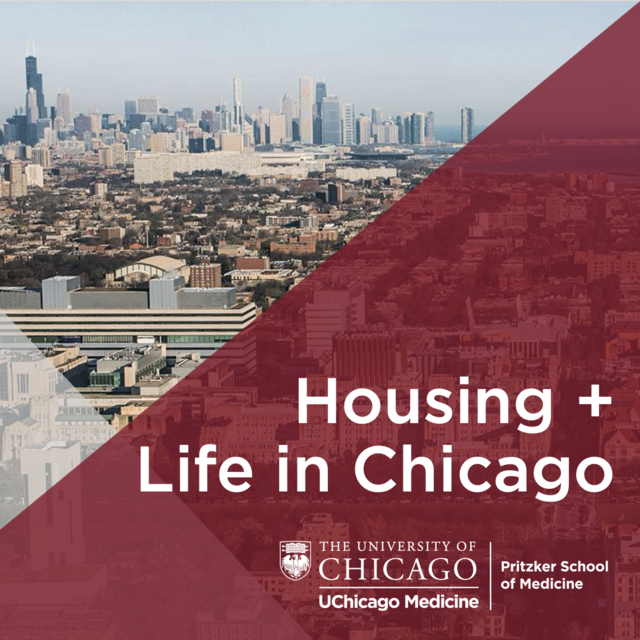 Housing and Life in Chicago